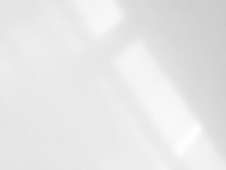 Background shadow white light wall floor backdrop overlay leaf mockup summer sunight overlay nature on room cement abstract blur muckup effect grey minimal platform for presentation product