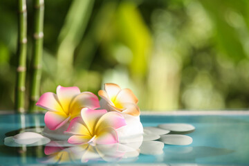 Lake with spa stones and beautiful plumeria flowers in tropical garden