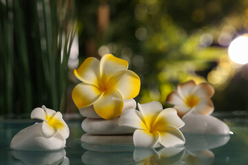 Lake with spa stones and beautiful plumeria flowers in tropical bamboo garden