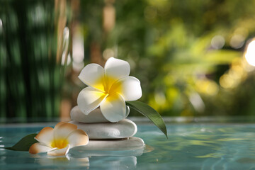 Lake with spa stones and beautiful plumeria flowers in tropical bamboo garden