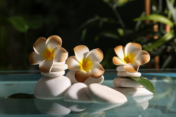 Lake with spa stones and beautiful plumeria flowers in tropical bamboo garden