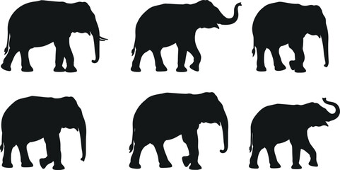 Silhouette of elephants walking and standing in different poses, wild animal design, black vector illustration, nature wildlife artwork, jungle pattern