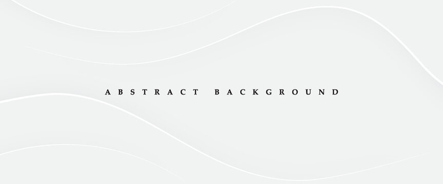 abstract white background with gradient color and artistic dynamic line decoratio. Abstract white wave background with smooth curves.
