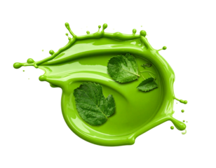 Green Paint Splash with Leaf Particles 