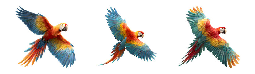Obraz premium Set of three colorful macaw parrots in flight.