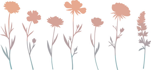 Floral silhouettes on white background delicate botanical illustration.