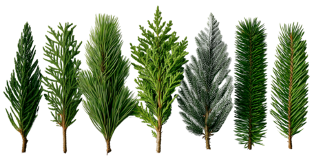 large bundle of pine branches. the top view shows all off them, without any trees, only pine branches, berries and brown cones, creating an enchanting christmas scene on a white background 