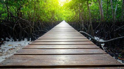 Obraz premium Serene Wooden Pathway Through Lush Mangrove Forest with Sunlight Filtering Through Vibrant Green Foliage and Root Structures Enhancing Nature's Beauty