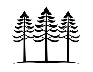 Obraz premium trees in winter