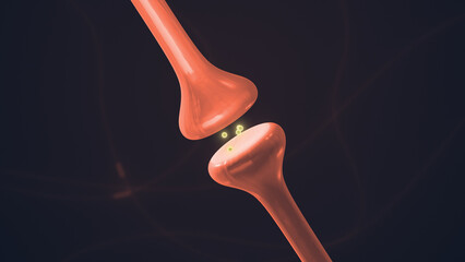 Neuron Synapse Structure Showing Electrical Signal Transfer
