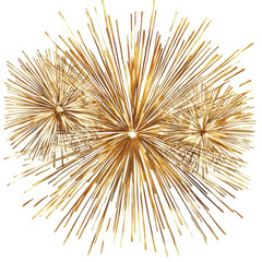 Obraz premium Golden Fireworks Burst Abstract Art Design isolated on a white background