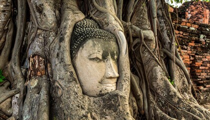 Ancient Buddha Head Embraced by Tree Roots in Ayutthaya Thailand.