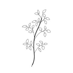 Hand Drawn Floral Line Drawing Clipart - Simple Outline Flower