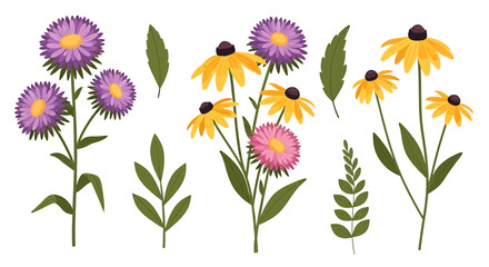 A colorful collection of illustrated wildflowers, featuring purple asters and yellow black-eyed Susans with various green leaves.