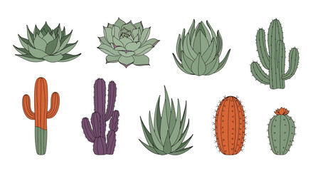 Collection of Hand-Drawn Succulents and Cacti Illustrations