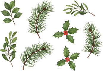 Watercolor Christmas botanical elements isolated on white background.