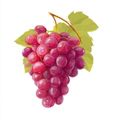 Fototapeta premium Plump Red Grapes with Lush Green Leaves on White