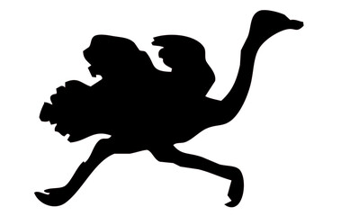 Obraz premium A good search title for this image would be ostrich running silhouette