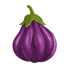 Ripe Purple Eggplant Illustration on White Background