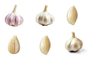 Collection of whole garlic bulb with a strong, earthy scent. full length isolate on transparent background