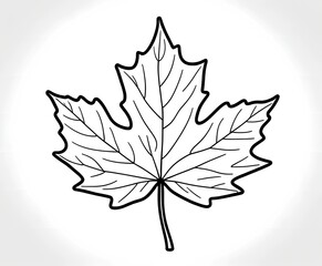 Simple line drawing of a maple leaf