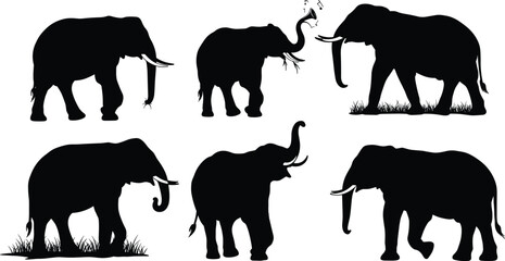 Elephant, silhouette, animal, wildlife, jungle, safari, nature, tusks, trunk, ears, music, bird, grass, standing, walking, black, illustration, posture, tail, design