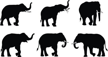 Elephant, silhouette, animal, wildlife, jungle, safari, nature, tusks, trunk, ears, walking, standing, black, pose, majestic, illustration, tail, group, posture, design
