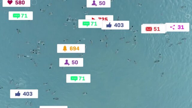 Frame-three icons fading into swimmers then multiplying counts to display rising social engagement