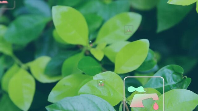 Hand icon fading starting translucent AR icons pulsing around green leaves visualizing live data