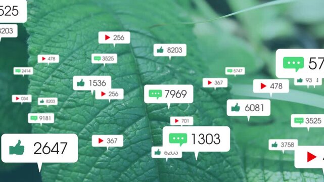 Leaf filling frame, timeline progressing, social icons multiplying, showing rising engagement