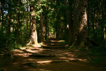 高烏谷山の登山道