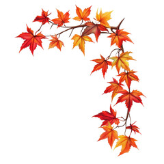 Autumn Maple Leaves Branch Design Fall Colors Nature isolated on a white background