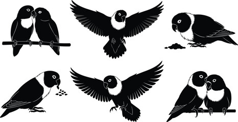 Lovebird silhouette, bird poses, flying bird, perched pair, romantic birds, black and white, vector art, wildlife, nature, stock illustration