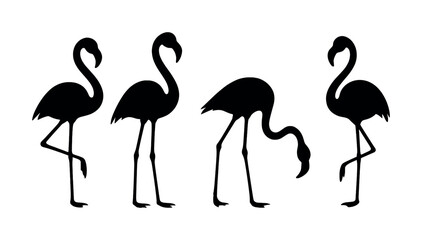 Fototapeta premium Silhouettes of four flamingos in different poses on white background
