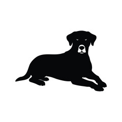 Elegant black Labrador silhouette resting against a pure white background illustration, dog resting silhouette vector illustration