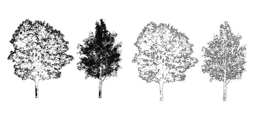 Obraz premium front View Vector Icons of Trees and Plants for Floor Plan and Architectural Design Projects 