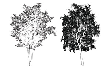 Fototapeta premium front View Vector Icons of Trees and Plants for Floor Plan and Architectural Design Projects 