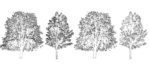 front View Vector Icons of Trees and Plants for Floor Plan and Architectural Design Projects	