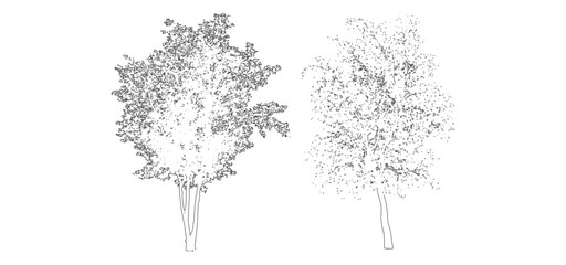 Fototapeta premium front View Vector Icons of Trees and Plants for Floor Plan and Architectural Design Projects 