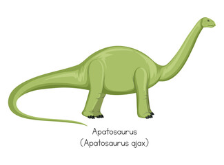 Apatosaurus long neck dinosaur cartoon vector illustration kids education © RayZing  