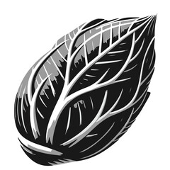 Illustration of a single dark leaf with prominent white veins against a white background in detail