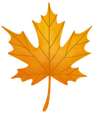 Watercolor autumn leaves clipart