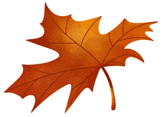 Watercolor autumn leaves clipart