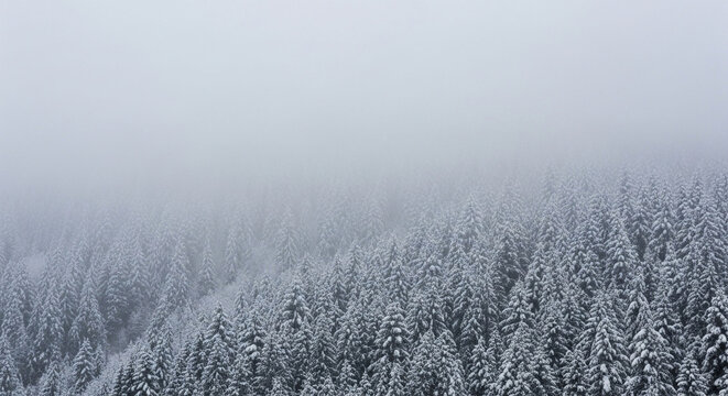 A serene aerial view of snowcovered evergreen trees disappearing into the dense fog in winter, creating a peaceful and misty landscape - Powered by Adobe