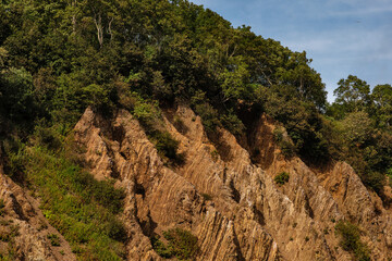 A steep eroded slope displays rugged rock layers, partly covered by dense green trees and shrubs, highlighting the interaction between geology and vegetation. Nature of Sakhalin Island