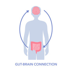 Gut brain connection concept. Signals from brain to digestive tract in male silhouette vector illustration