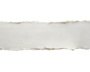 Torn white paper strip with textured surface isolated on transparent background