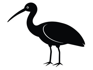 Fototapeta premium ibis vector icon in bold style on black color and white background.