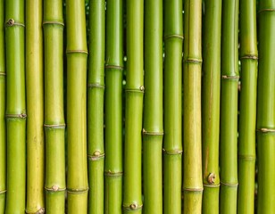 Obraz premium Close-up view of a vibrant green bamboo fence
