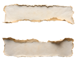 Two torn paper strips isolated on transparent background
